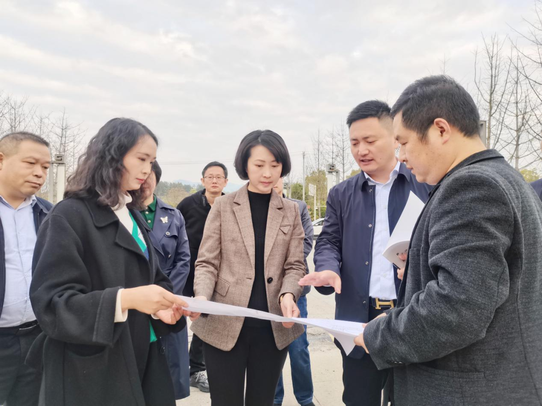 新区（经开区）党工委书记何家琴调研沙滩牌坊yl6776永利集团文化产业园文旅工作