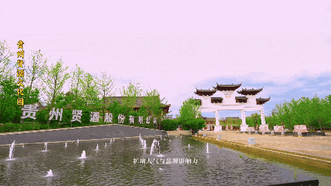 酒庄内部.gif